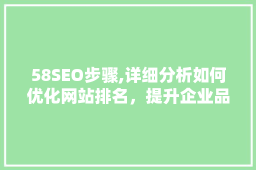 58SEO步骤,详细分析如何优化网站排名，提升企业品牌影响力