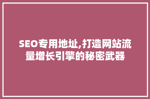 SEO专用地址,打造网站流量增长引擎的秘密武器