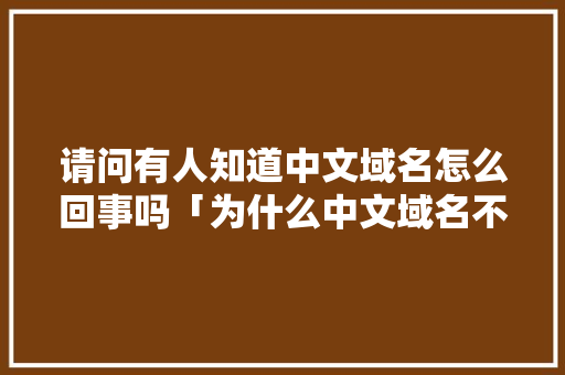 请问有人知道中文域名怎么回事吗「为什么中文域名不流行」 请问有人知道中文域名怎么回事吗「为什么中文域名不流行」 必应SEO