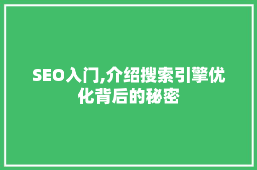 SEO入门,介绍搜索引擎优化背后的秘密 搜狗SEO
