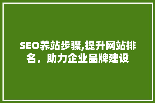 SEO养站步骤,提升网站排名，助力企业品牌建设 必应SEO