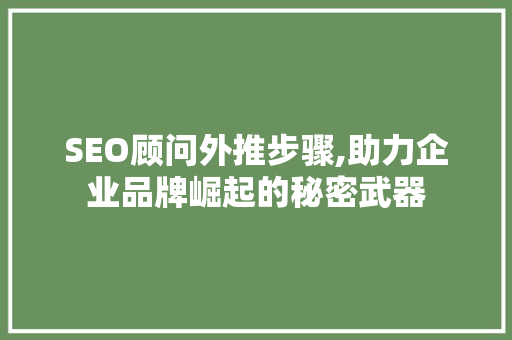 SEO顾问外推步骤,助力企业品牌崛起的秘密武器 必应SEO