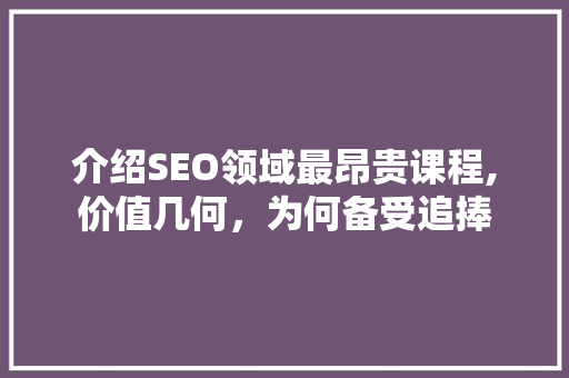 介绍SEO领域最昂贵课程,价值几何，为何备受追捧 必应SEO