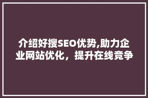 介绍好搜SEO优势,助力企业网站优化，提升在线竞争力 GoogleSEO