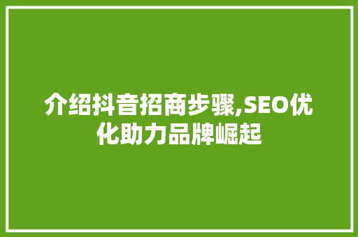 介绍抖音招商步骤,SEO优化助力品牌崛起