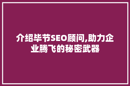 介绍毕节SEO顾问,助力企业腾飞的秘密武器