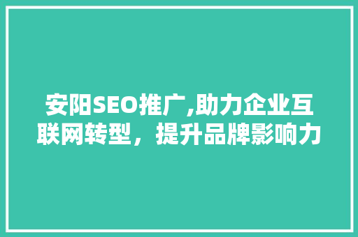 安阳SEO推广,助力企业互联网转型，提升品牌影响力 神马SEO