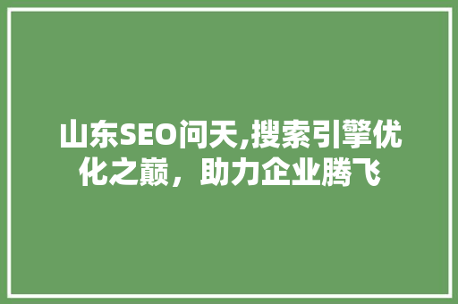 山东SEO问天,搜索引擎优化之巅，助力企业腾飞