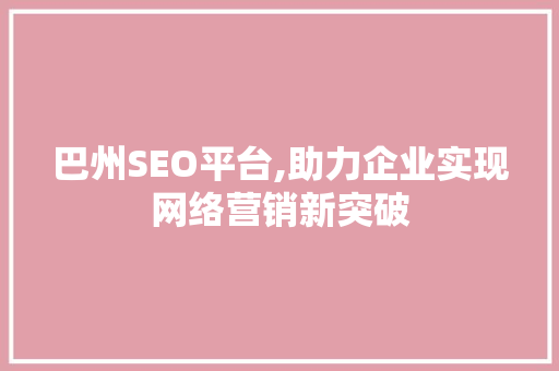 巴州SEO平台,助力企业实现网络营销新突破