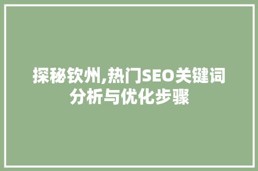 探秘钦州,热门SEO关键词分析与优化步骤 必应SEO