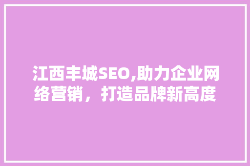 江西丰城SEO,助力企业网络营销，打造品牌新高度 神马SEO