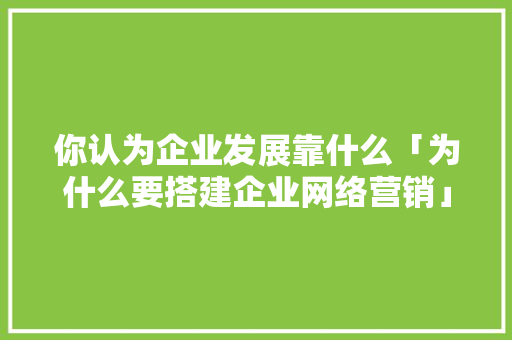 你认为企业发展靠什么「为什么要搭建企业网络营销」