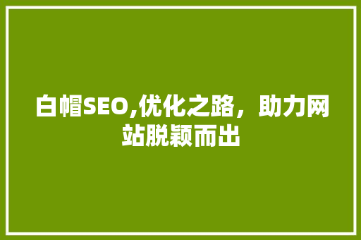 白帽SEO,优化之路，助力网站脱颖而出 GoogleSEO