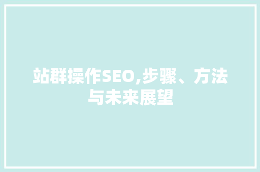 站群操作SEO,步骤、方法与未来展望 百度SEO