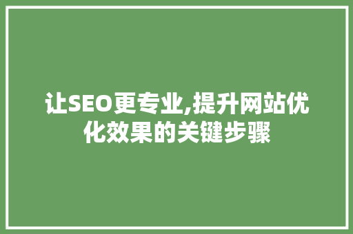 让SEO更专业,提升网站优化效果的关键步骤 搜狗SEO