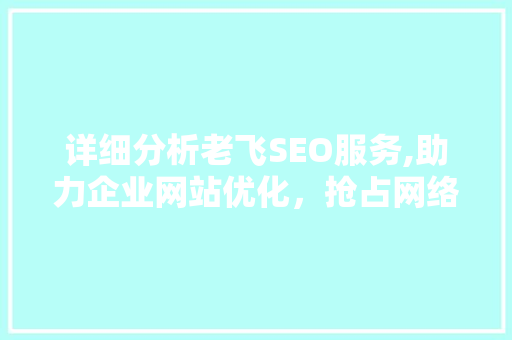 详细分析老飞SEO服务,助力企业网站优化，抢占网络市场先机