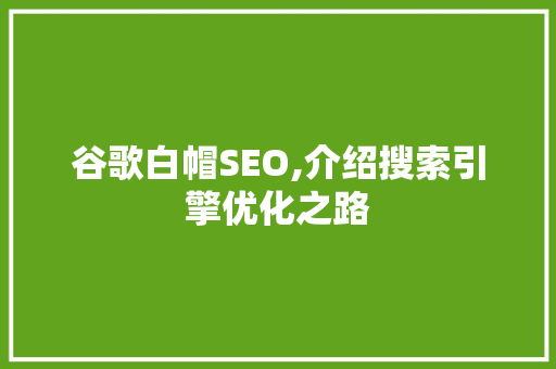 谷歌白帽SEO,介绍搜索引擎优化之路