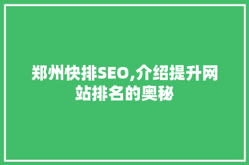 郑州快排SEO,介绍提升网站排名的奥秘 必应SEO