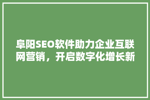 阜阳SEO软件助力企业互联网营销，开启数字化增长新篇章