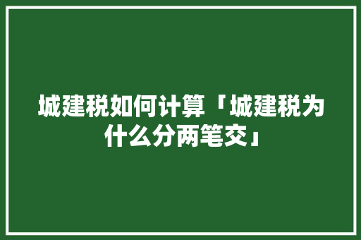 城建税如何计算「城建税为什么分两笔交」