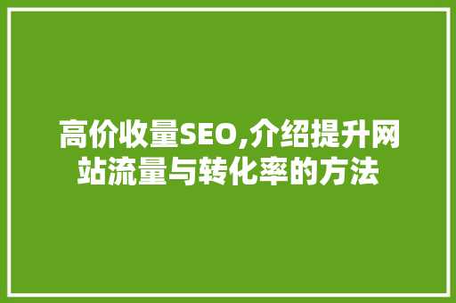 高价收量SEO,介绍提升网站流量与转化率的方法