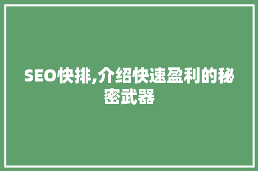 SEO快排,介绍快速盈利的秘密武器 必应SEO