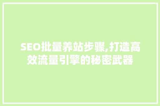 SEO批量养站步骤,打造高效流量引擎的秘密武器