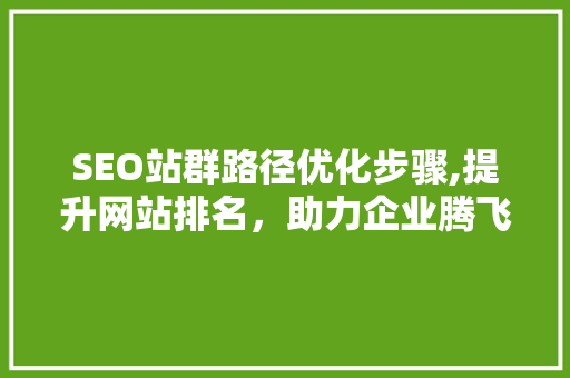 SEO站群路径优化步骤,提升网站排名，助力企业腾飞