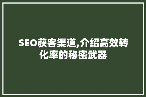 SEO获客渠道,介绍高效转化率的秘密武器 搜狗SEO