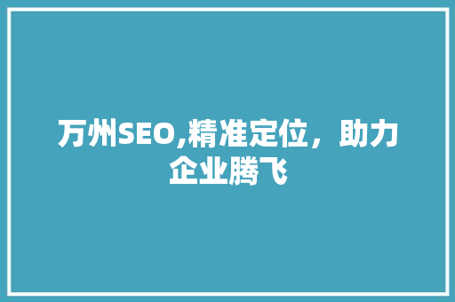 万州SEO,精准定位，助力企业腾飞