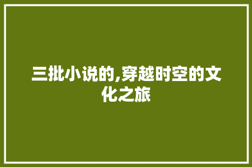 三批小说的,穿越时空的文化之旅 百度SEO