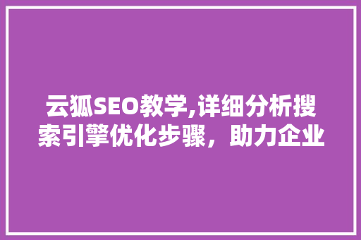 云狐SEO教学,详细分析搜索引擎优化步骤，助力企业网站提升排名