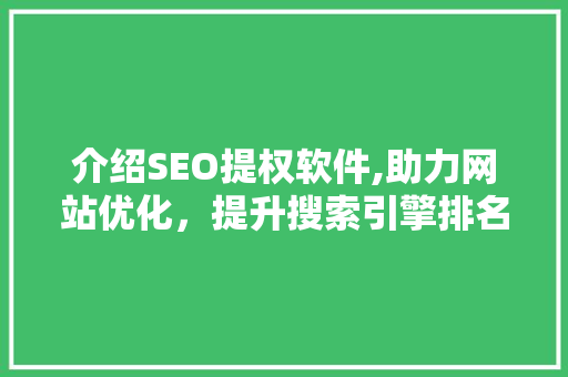 介绍SEO提权软件,助力网站优化，提升搜索引擎排名之路 必应SEO