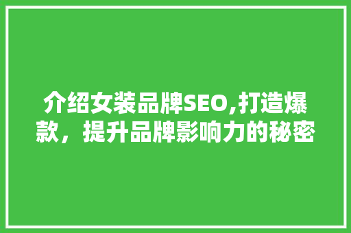 介绍女装品牌SEO,打造爆款，提升品牌影响力的秘密武器 百度SEO
