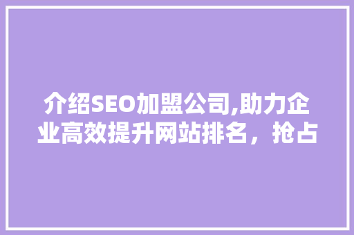 介绍SEO加盟公司,助力企业高效提升网站排名，抢占市场先机