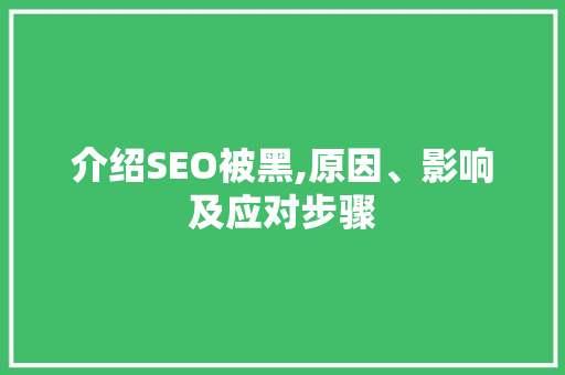 介绍SEO被黑,原因、影响及应对步骤
