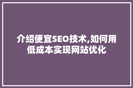 介绍便宜SEO技术,如何用低成本实现网站优化