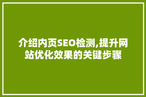 介绍内页SEO检测,提升网站优化效果的关键步骤 搜狗SEO