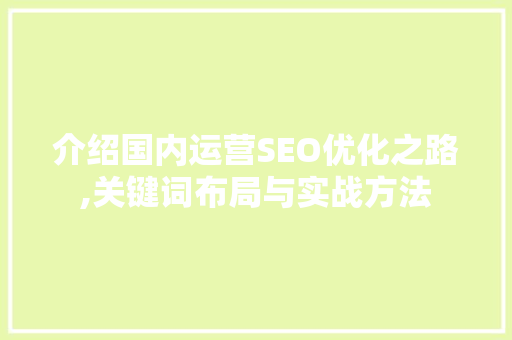 介绍国内运营SEO优化之路,关键词布局与实战方法