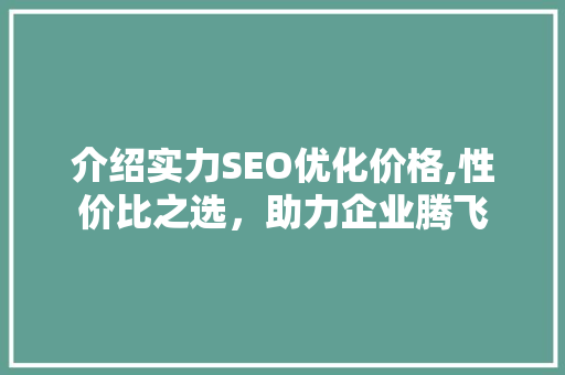 介绍实力SEO优化价格,性价比之选，助力企业腾飞
