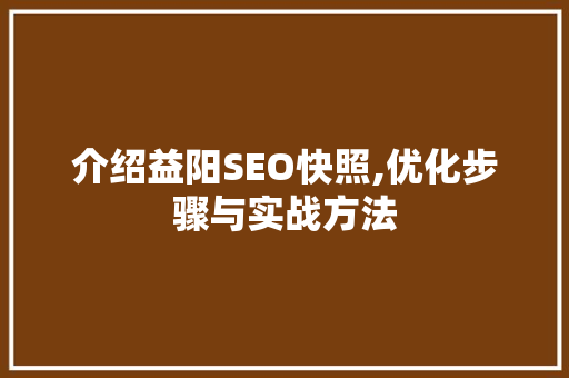 介绍益阳SEO快照,优化步骤与实战方法