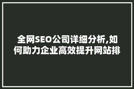 全网SEO公司详细分析,如何助力企业高效提升网站排名