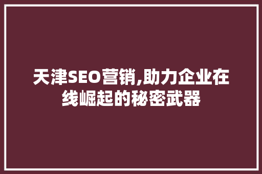 天津SEO营销,助力企业在线崛起的秘密武器