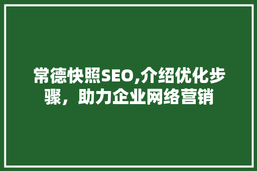 常德快照SEO,介绍优化步骤，助力企业网络营销
