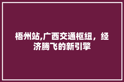 梧州站,广西交通枢纽，经济腾飞的新引擎