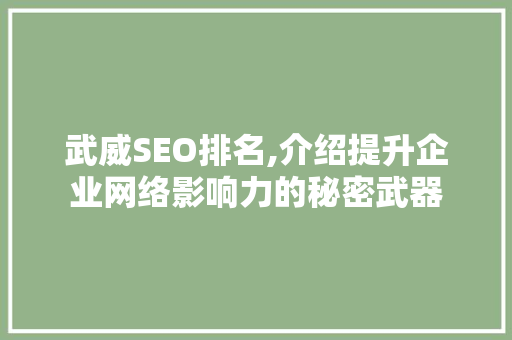 武威SEO排名,介绍提升企业网络影响力的秘密武器 百度SEO