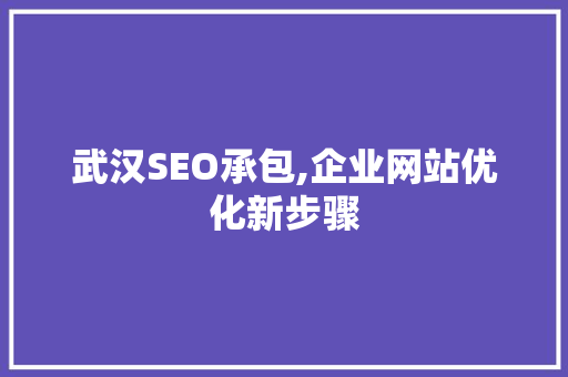 武汉SEO承包,企业网站优化新步骤 百度SEO
