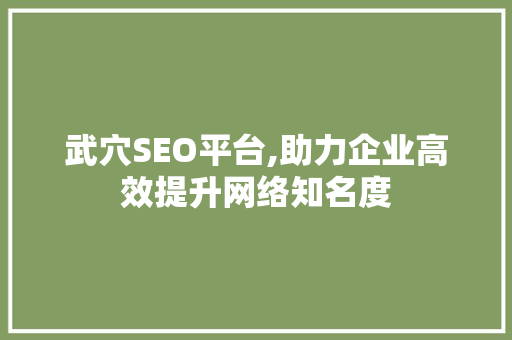 武穴SEO平台,助力企业高效提升网络知名度