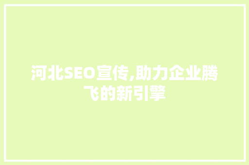 河北SEO宣传,助力企业腾飞的新引擎