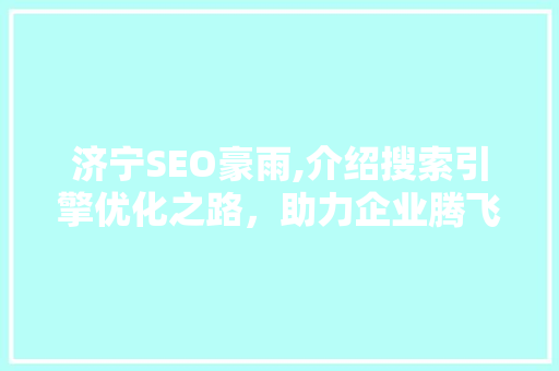 济宁SEO豪雨,介绍搜索引擎优化之路，助力企业腾飞